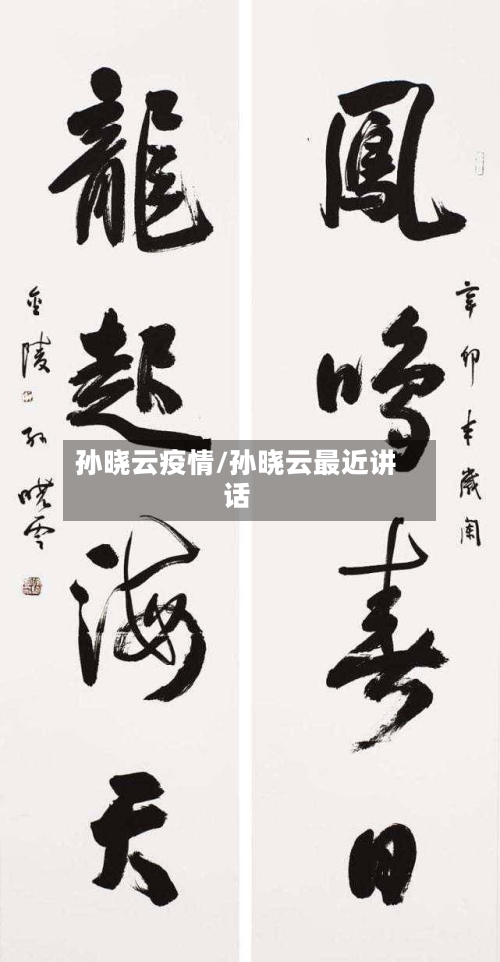 孙晓云疫情/孙晓云最近讲话