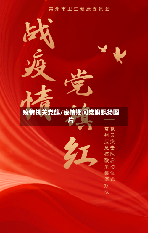 疫情机关党旗/疫情期间党旗飘扬图片