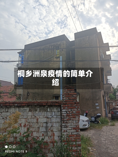 桐乡洲泉疫情的简单介绍-第2张图片