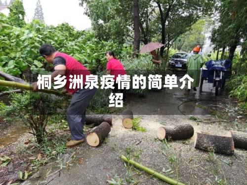 桐乡洲泉疫情的简单介绍