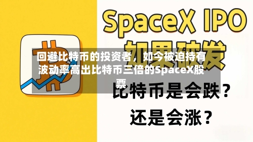 回避比特币的投资者，如今被迫持有波动率高出比特币三倍的SpaceX股票
