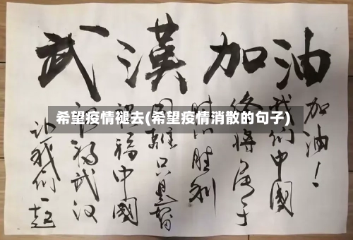 希望疫情褪去(希望疫情消散的句子)-第2张图片