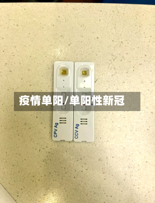 疫情单阳/单阳性新冠-第2张图片