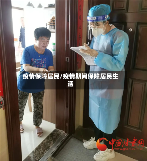 疫情保障居民/疫情期间保障居民生活