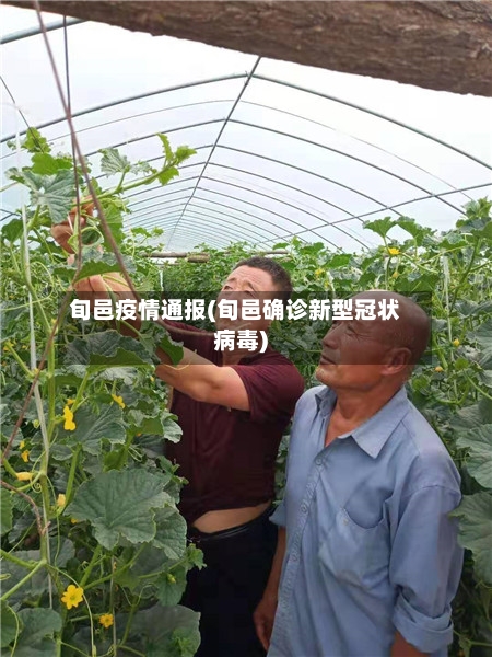 旬邑疫情通报(旬邑确诊新型冠状病毒)