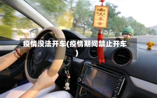 疫情没法开车(疫情期间禁止开车)-第2张图片