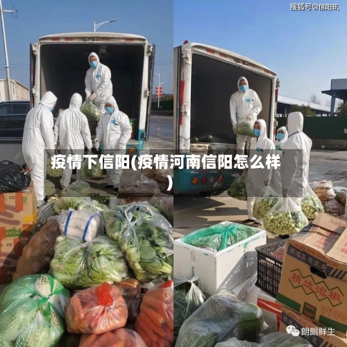 疫情下信阳(疫情河南信阳怎么样)-第2张图片