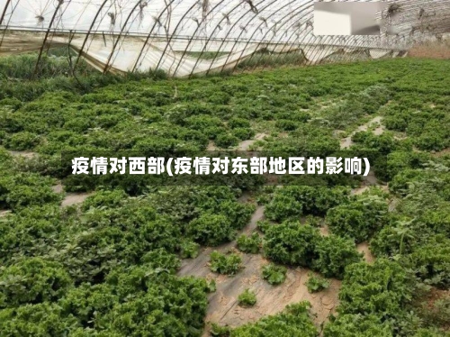 疫情对西部(疫情对东部地区的影响)