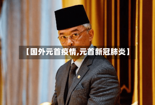 【国外元首疫情,元首新冠肺炎】-第2张图片