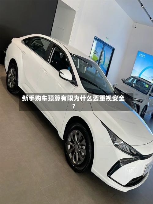 新手购车预算有限为什么要重视安全？