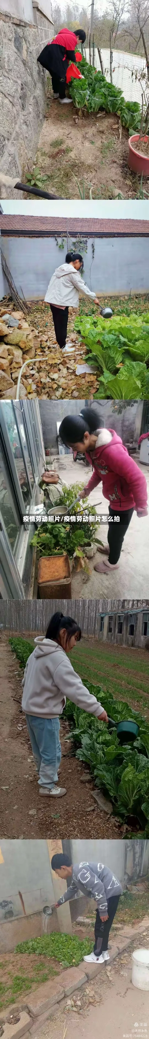 疫情劳动照片/疫情劳动照片怎么拍-第2张图片