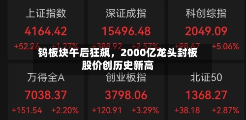 钨板块午后狂飙，2000亿龙头封板股价创历史新高-第2张图片
