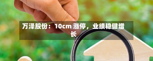 万泽股份：10cm 涨停，业绩稳健增长-第2张图片