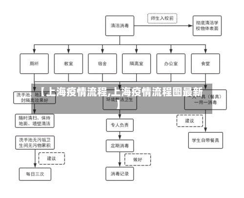 【上海疫情流程,上海疫情流程图最新】-第3张图片