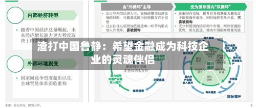 渣打中国鲁静：希望金融成为科技企业的灵魂伴侣
