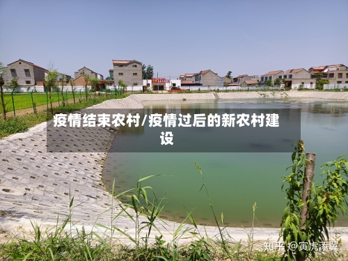 疫情结束农村/疫情过后的新农村建设-第3张图片