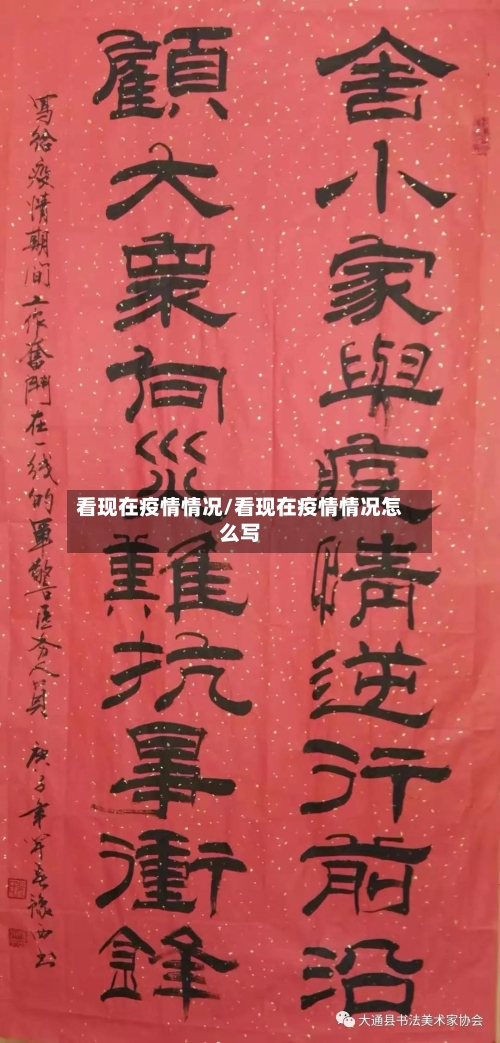 看现在疫情情况/看现在疫情情况怎么写