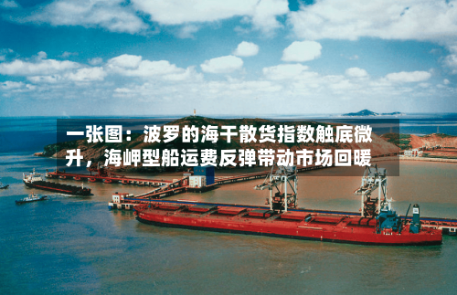 一张图：波罗的海干散货指数触底微升	，海岬型船运费反弹带动市场回暖-第3张图片