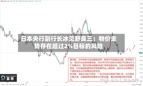 日本央行副行长冰见野良三：物价走势存在超过2%目标的风险