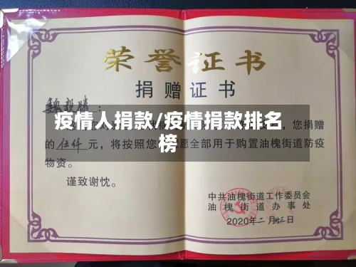 疫情人捐款/疫情捐款排名榜-第2张图片