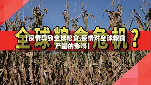 【疫情导致全球粮食,疫情对全球粮食产量的影响】-第2张图片