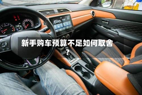新手购车预算不足如何取舍？-第2张图片