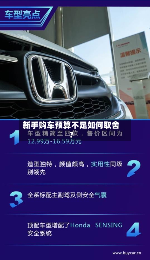 新手购车预算不足如何取舍？-第3张图片