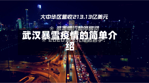 武汉暴雪疫情的简单介绍-第3张图片