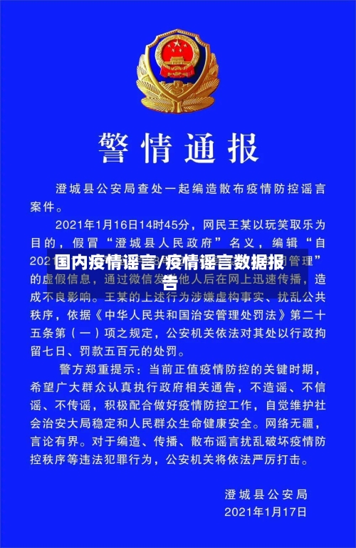 国内疫情谣言/疫情谣言数据报告