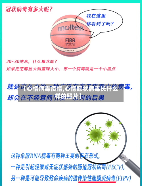【心情病毒疫情,心情冠状病毒长什么样的照片】