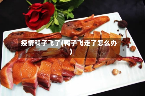 疫情鸭子飞了(鸭子飞走了怎么办)