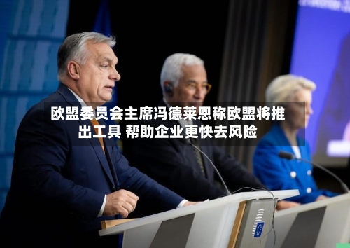 欧盟委员会主席冯德莱恩称欧盟将推出工具 帮助企业更快去风险
