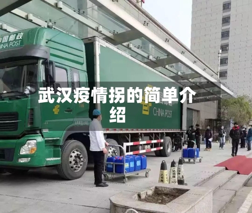 武汉疫情拐的简单介绍