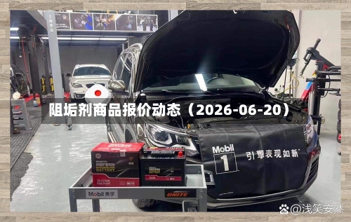 阻垢剂商品报价动态（2026-06-20）-第2张图片
