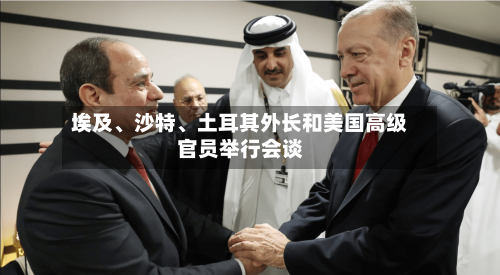 埃及、沙特	、土耳其外长和美国高级官员举行会谈-第2张图片