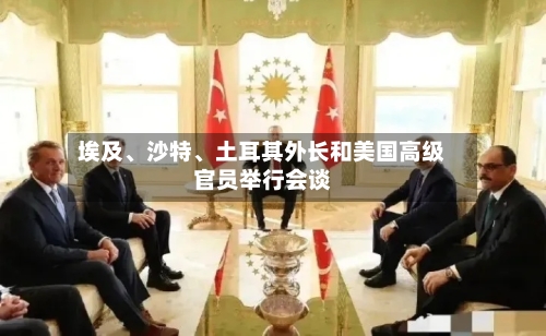 埃及、沙特、土耳其外长和美国高级官员举行会谈-第3张图片