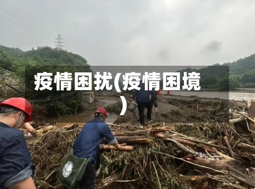 疫情困扰(疫情困境)-第2张图片