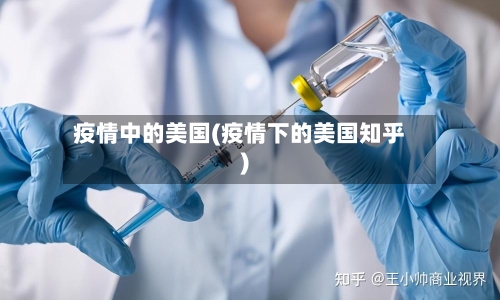 疫情中的美国(疫情下的美国知乎)-第2张图片