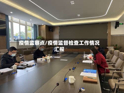 疫情监察点/疫情监督检查工作情况汇报-第2张图片