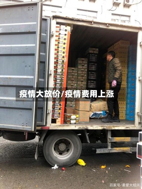 疫情大放价/疫情费用上涨-第3张图片