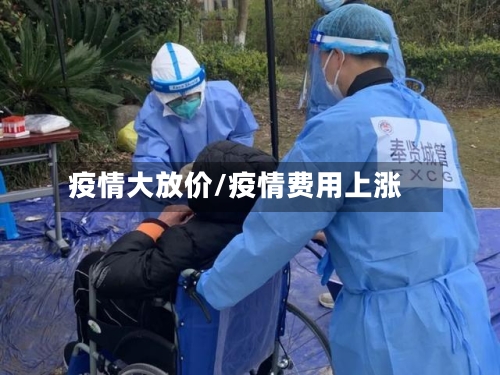 疫情大放价/疫情费用上涨
