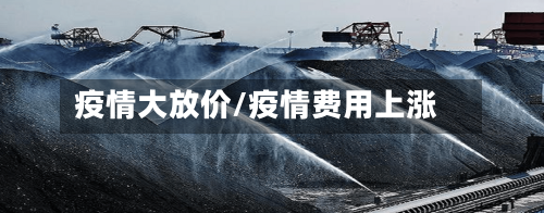 疫情大放价/疫情费用上涨-第2张图片