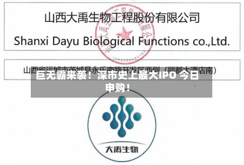 巨无霸来袭！深市史上最大IPO 今日申购！