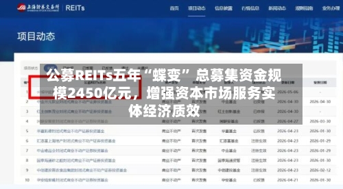 公募REITs五年“蝶变” 总募集资金规模2450亿元	，增强资本市场服务实体经济质效-第2张图片