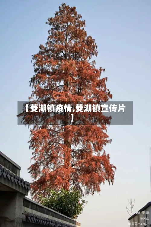 【菱湖镇疫情,菱湖镇宣传片】