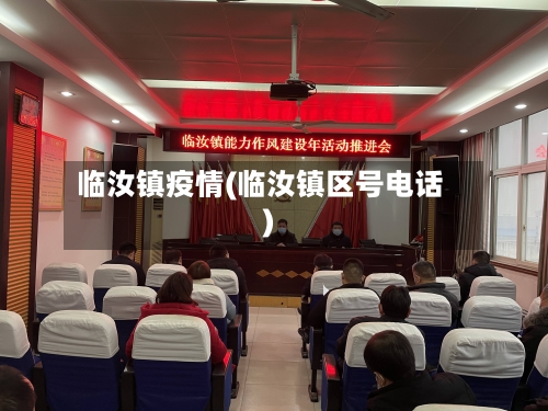 临汝镇疫情(临汝镇区号电话)