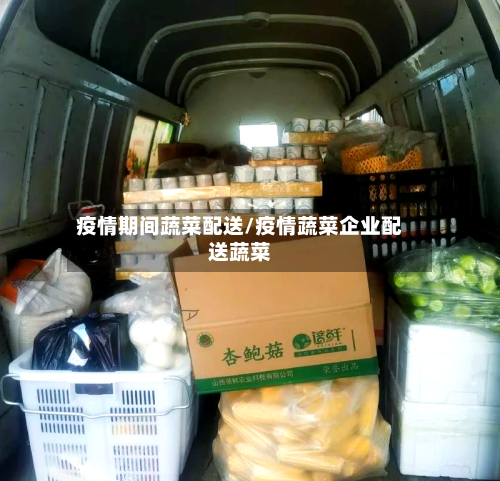 疫情期间蔬菜配送/疫情蔬菜企业配送蔬菜-第2张图片