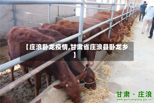 【庄浪卧龙疫情,甘肃省庄浪县卧龙乡】-第2张图片