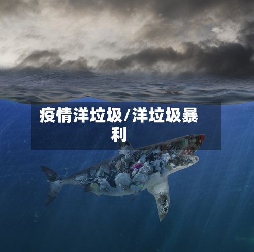 疫情洋垃圾/洋垃圾暴利-第2张图片