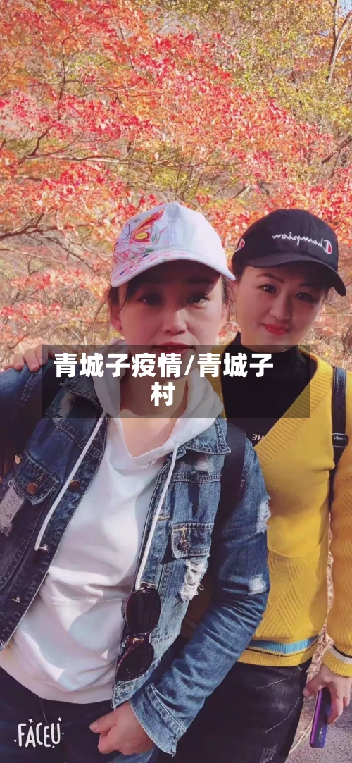青城子疫情/青城子村-第2张图片